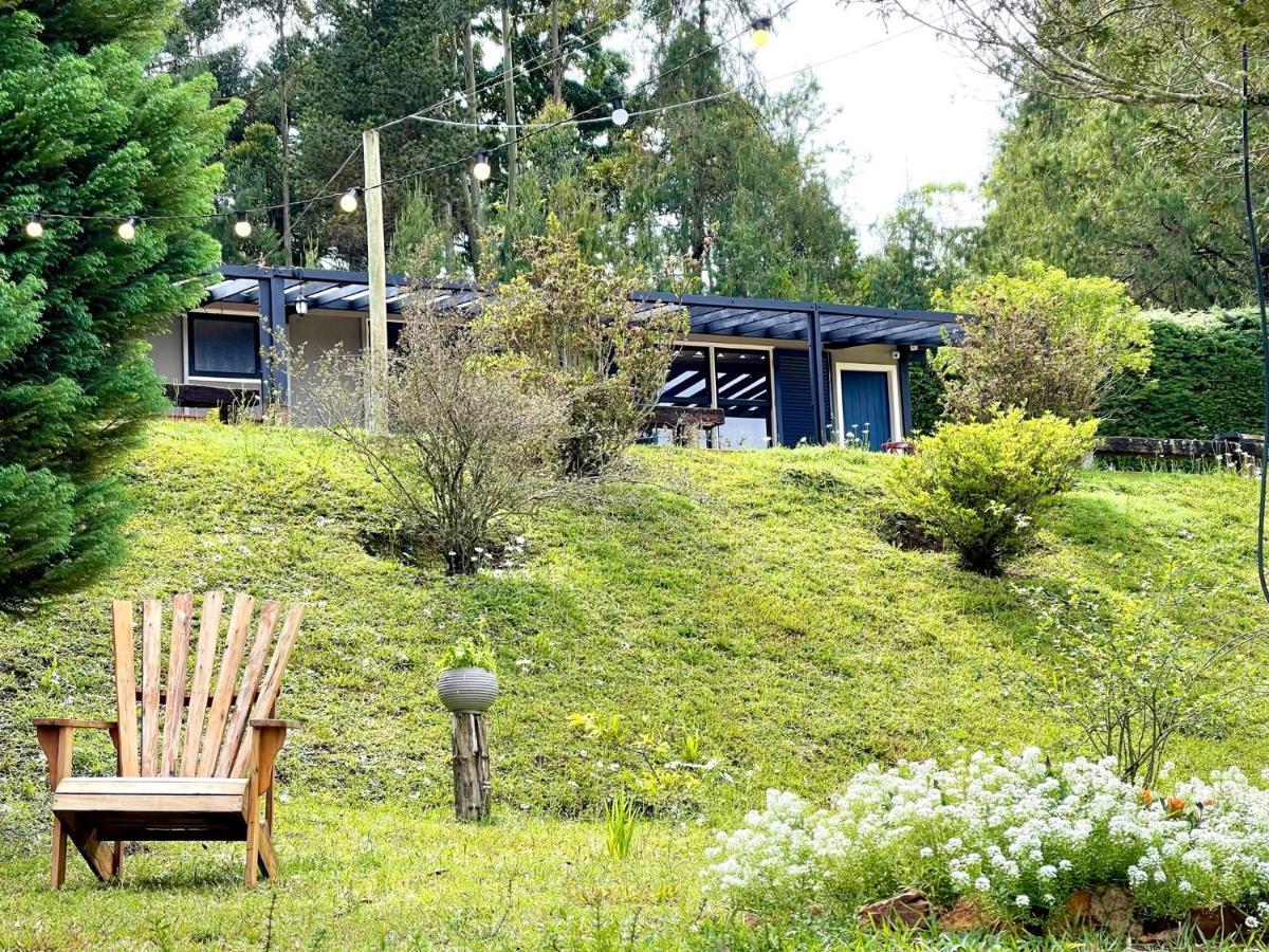 Casa de hóspedes Casa Pinho Bravo